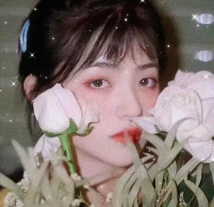 我的师兄太强了